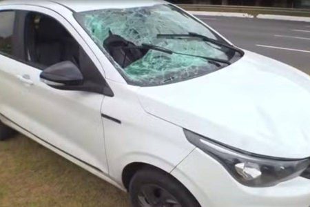 Gari é atingido por carro na Avenida Paralela