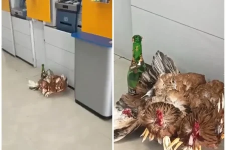 Oferenda religiosa é encontrada em terminal do Banco do Brasil em Mata de São João