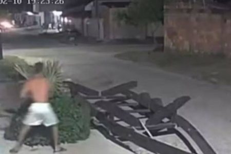 Homem é procurado por agredir cachorro com paralelepípedo no extremo sul da Bahia