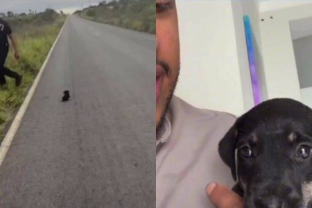 Thiago Aquino resgata filhote de cachorro abandonado em estrada na Bahia e decide adotá-lo