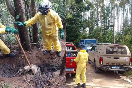 Ossadas são encontradas em área de mata na Bahia e podem estar ligadas a casal vítima de ‘tribunal do crime’
