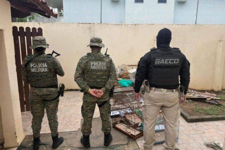 Suspeito de tráfico de animais é detido em Lauro de Freitas durante operação interestadual