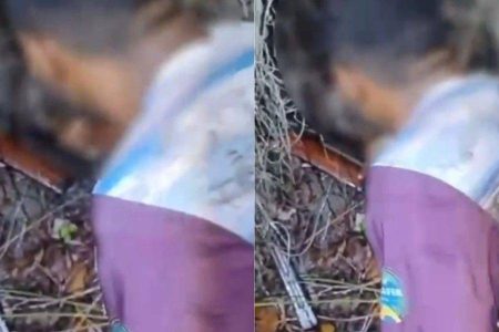 Justiça solta cinco indígenas investigados por ataque a turistas no sul da Bahia