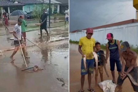 Após fortes chuvas, moradores encontram peixes nas ruas de Ipiaú