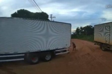 Idosa de 104 anos morre após ser atropelada por caminhão