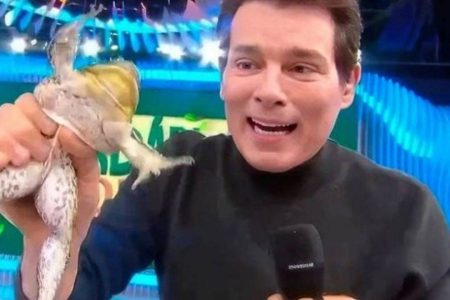 MP de São Paulo apura supostos maus-tratos a animal em programa do SBT