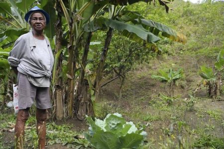 Dia Internacional de Luta dos Trabalhadores do Campo expõe desafios e combate ao trabalho escravo no Brasil