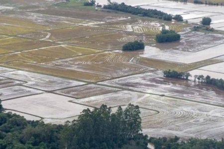 OMM prevê início do El Niño entre maio e julho e alerta para impactos no Brasil