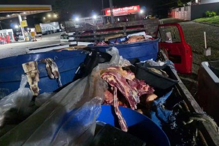 Polícia apreende quase uma tonelada de carne de abate clandestino no interior da Bahia
