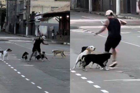 Corredor é perseguido por cães durante treino em MG, leva mordida e vídeo viraliza