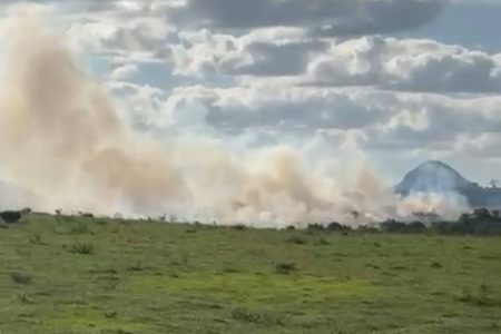 Grupo armado invade fazenda, incendeia plantações e rende produtor rural em Prado
