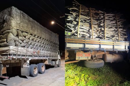 Polícia apreende 32 toneladas de carvão ilegal e madeira nativa no sudoeste da Bahia