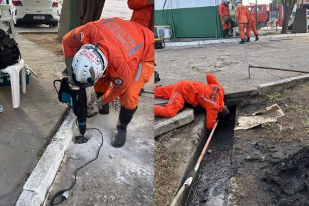 Filhotes presos em tubulação de esgoto são resgatados por bombeiros na Bahia