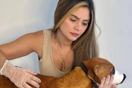 Vereadora Marcelle Moraes repudia fala sobre eutanásia de animais e cobra políticas públicas efetivas na Bahia