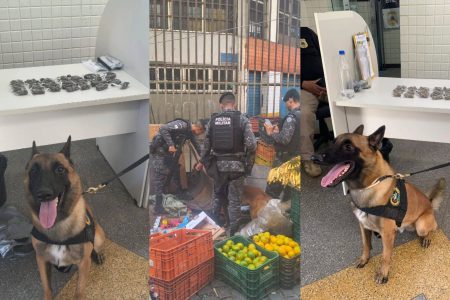 Drogas são encontradas escondidas em barraca de frutas no Centro de Salvador