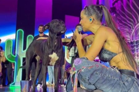 Cantora adota cachorro que invadiu palco durante show: “Nunca mais vai sentir medo e fome”