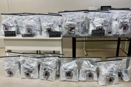 Operação da Polícia Civil apreende 80 kg de cocaína na BR-116; suspeito é preso