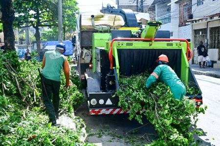 Salvador conta com primeira máquina trituradora de podas para reciclagem orgânica