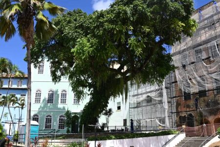 Praça das Artes no Centro Histórico de Salvador passa por requalificação com investimento de R$ 450 mil