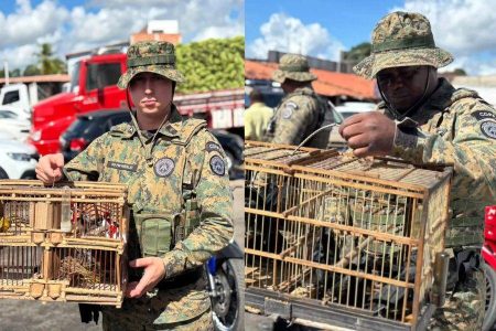 Operação ambiental resgata 17 aves silvestres e leva três pessoas presas na Bahia