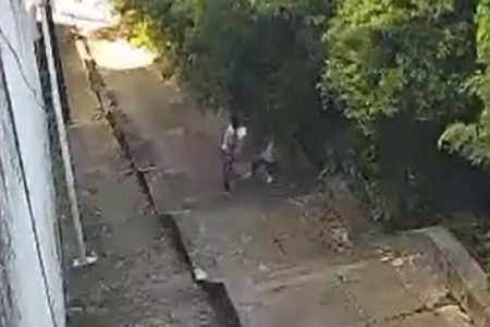 Mulher é agredida e roubada no Caminho das Árvores; crime foi flagrado por câmeras