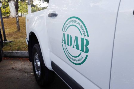 Operação conjunta apreende quase uma tonelada de alimentos irregulares em Lauro de Freitas