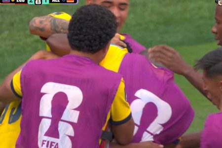 Equador decreta feriado nacional para celebrar vaga nas oitavas da Copa