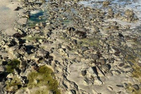 Emergência ambiental é decretada após contaminação química na praia de São Tomé de Paripe