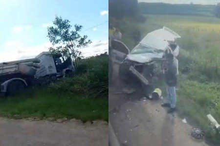 Motorista morre após batida entre caminhonete e carreta carregada de postes na BR-367