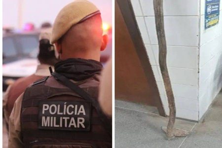 Homem é detido após tentar atacar idoso com enxada em zona rural da Bahia
