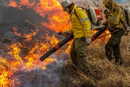Governo libera R$ 337 milhões para combate ao desmatamento e incêndios florestais
