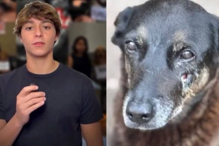 ‘Sou inocente’: Igor Zampieri volta às redes e nega envolvimento em morte do cão Orelha