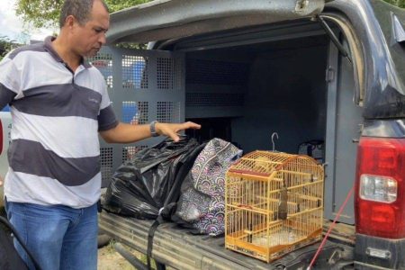 Influenciador digital é preso com drogas em Cruz das Almas; material seria vendido no São João