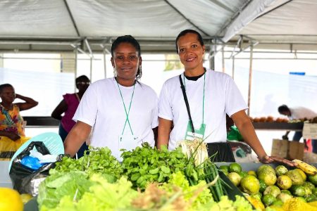 Feira reúne agricultura familiar e serviços gratuitos de saúde em Salvador neste sábado (13)