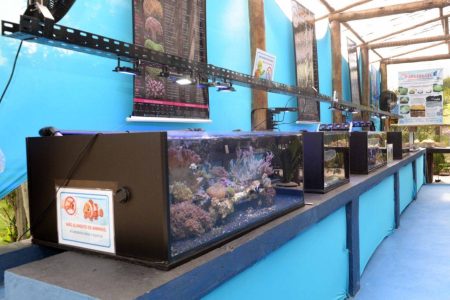 Salvador inaugura Aqua Salvador, espaço de educação ambiental marinha no Parque das Dunas