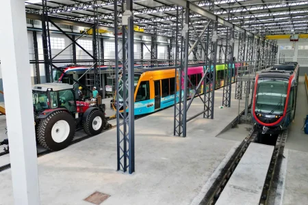 Projeto do VLT promove recuperação de manguezal no Lobato