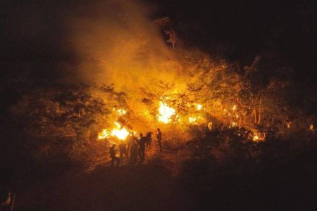 Polícia apreende 1,5 tonelada de maconha e erradica plantação na Chapada Diamantina