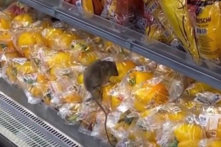 Vídeo mostra rato em cima de verduras dentro de supermercado em bairro nobre de Salvador