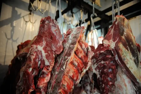 Preço da carne pode subir no Brasil após restrições da China; entenda