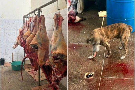 Operação apreende 800 quilos de carne clandestina no sul da Bahia