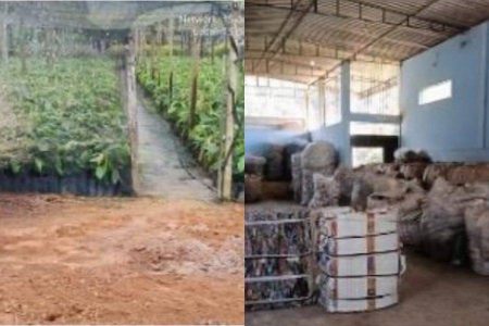 Um ano após fim do lixão, Itagi transforma área degradada em viveiro de mudas