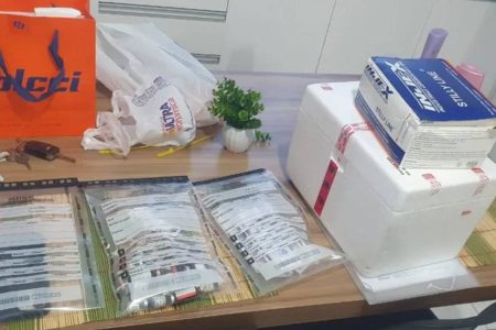 Operação da Polícia Civil apreende 200 canetas emagrecedoras avaliadas em R$ 164 mil na Bahia
