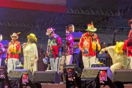 Alcione sofre queda durante show em São Luís, mas retoma apresentação