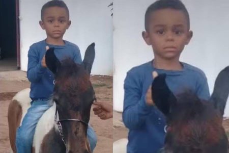 Criança de 8 anos morre após afogamento em piscina de fazenda no interior da Bahia