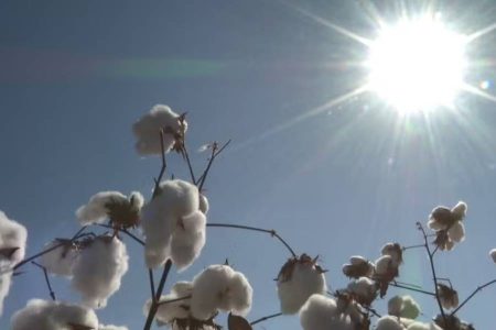 Inmet emite alerta laranja para baixa umidade no oeste e norte da Bahia neste domingo