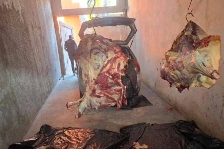Operação prende 11 suspeitos de furtar e abater gado para venda ilegal de carne na Bahia