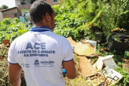 Prefeitura reforça combate à dengue e concentra ações em cinco bairros de Salvador; veja quais
