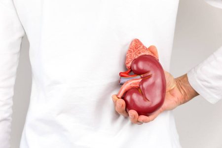 Doença renal crônica afeta mais de 20 milhões de brasileiros