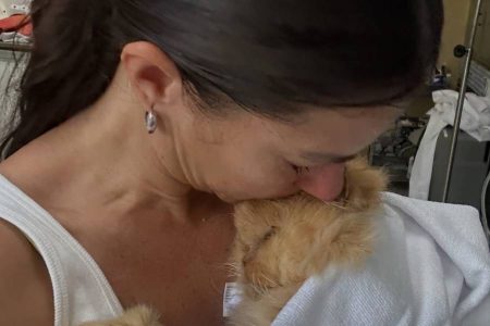 Jéssica Senra se despede de gato após 18 anos e revela como foram os últimos momentos com pet