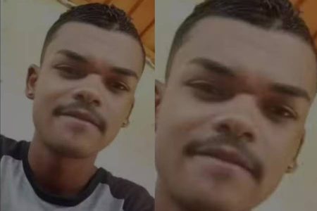 Galho de eucalipto cai durante poda e mata trabalhador rural na Bahia